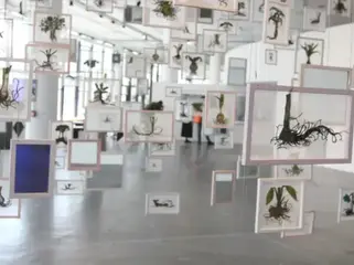 36ª Bienal de São Paulo abre suas portas neste sábado, no Ibirapuera