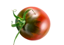 tomate 2