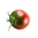 Tomato 2