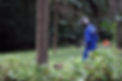 HR1902.jpg