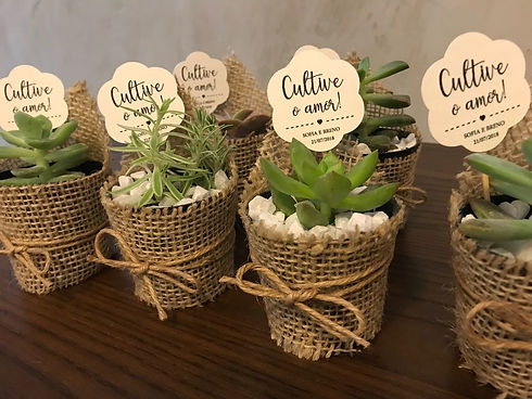 lembrancinha-de-casamento-suculentas-e-c