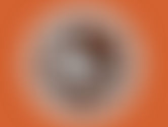 OCTOBER 12TH BARE KNUCKLE SURVIVAL GUIDE: BKFC & BYB