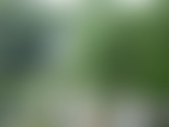 埼玉県公共職業訓練造園講座