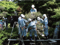 埼玉県公共職業訓練造園講座