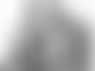 Walter Sisulu speaks