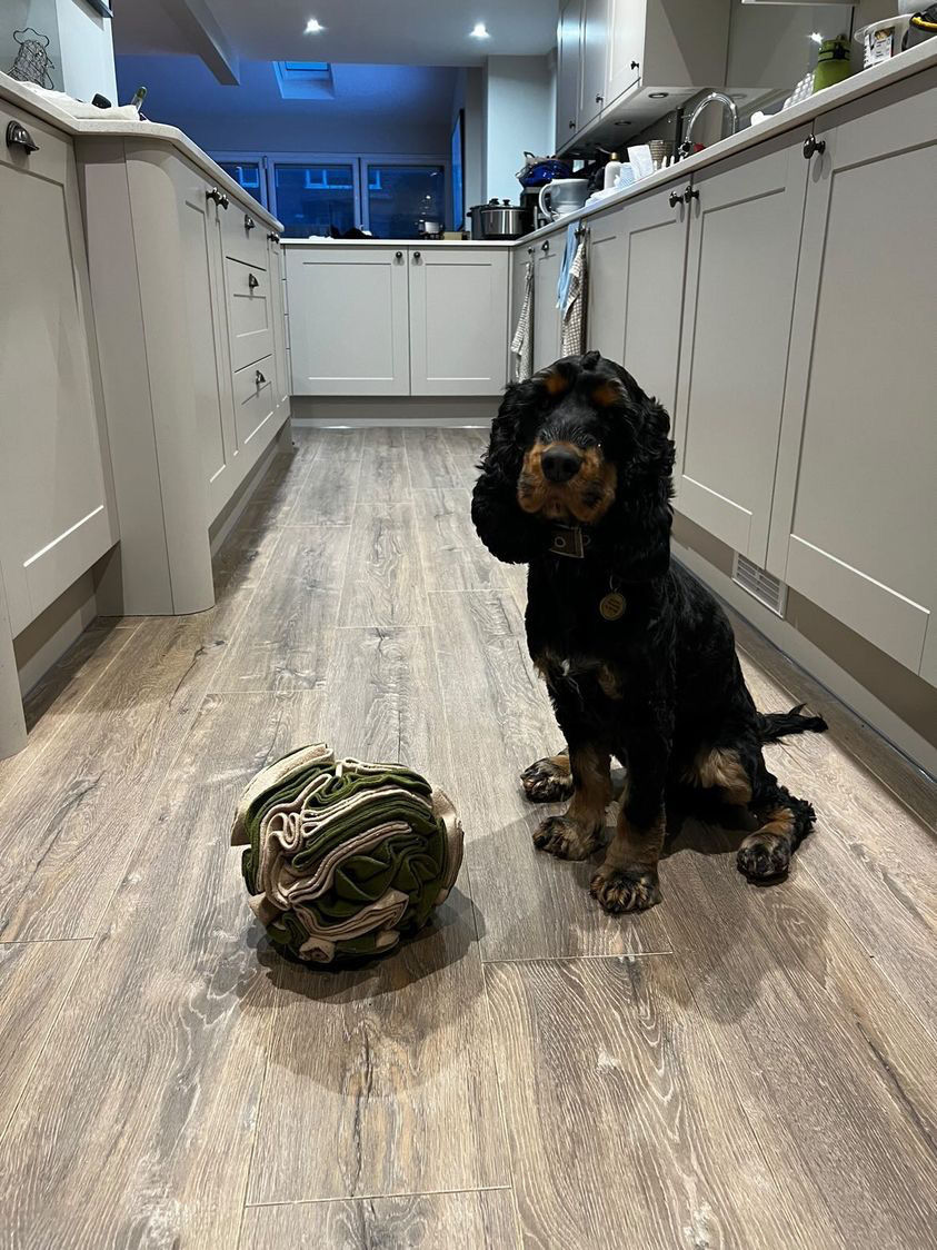 Thumbnail: Large Snuffle Ball