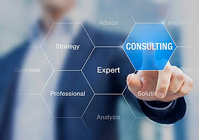honey comb picture of consulting.jpg