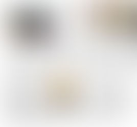 山陽新聞に掲載♬