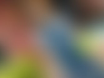 鹿児島大会が終わりました♬