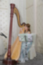 Pedal Harp