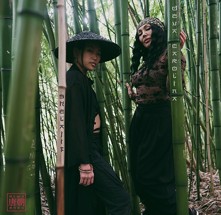 diwa shen artwork.png
