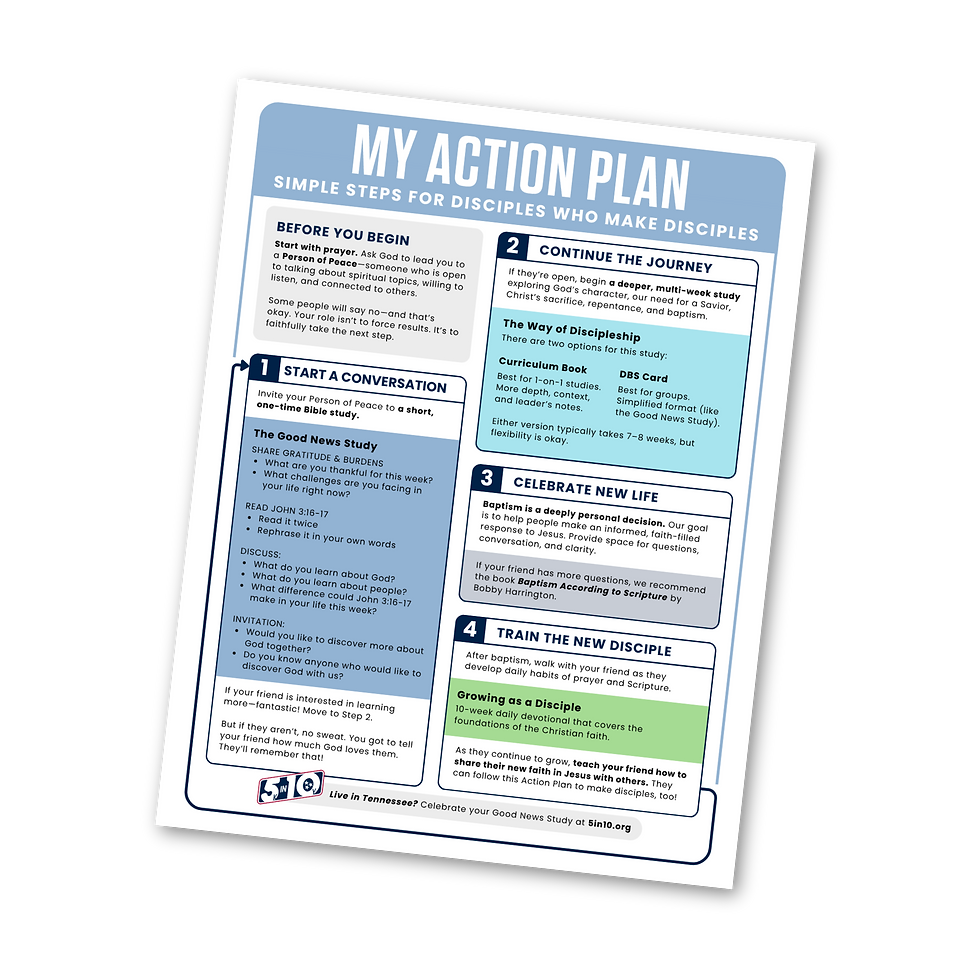 The Action Plan