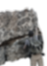 field work-16-16-17.png