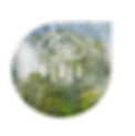 Picture8_edited.png