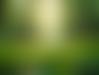 The Importance of Sustainable Practices in Everyday Life