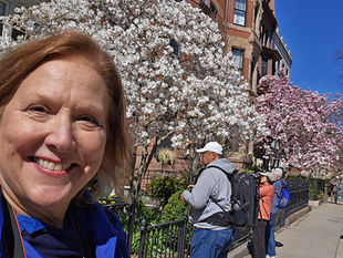 "Magnolias in Bloom" Tours Return April 17, 2026