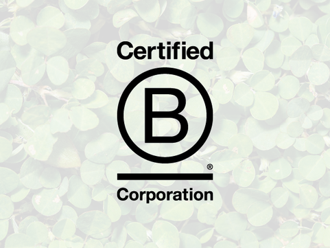 SCALORA CONSULTING GROUP EARNS B CORP CERTIFICATION