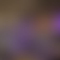 January 2021 Meeting