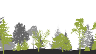WHY IS REFORESTATION IMPORTANT FOR THE ENVIRONMENT?