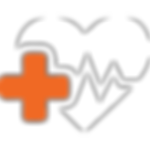 Healthcare Icon