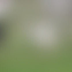 Newsletter Issue 3: July 2020