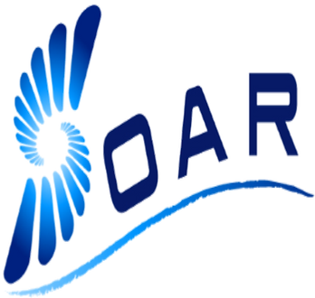 SOAR Website.png