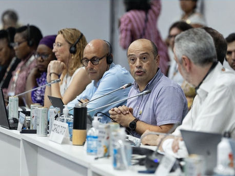 Yunus Arıkan UNFCCC COP Müzakereleri