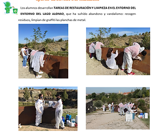 tareas restauración.png