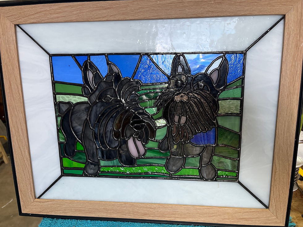 Thumbnail: Pet Portraits