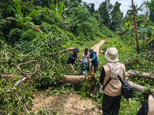 Primata Endemik Mentawai, Jembatan Rusak, dan Janji Kemerdekaan