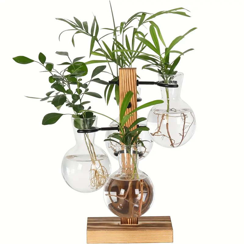Wooden & Glass Plant Propagation Station