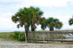 Hilton Head, SC