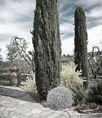Progetto giardino - AplusP