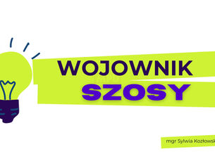 „W aucie jestem kimś innym” - wskazówki z MPU dla Polaków