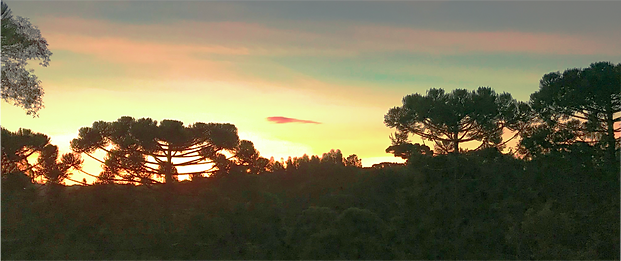 SLIDE_SHOW_NATUREZA.png