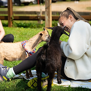 Screenshot 2025-06-25 110641.png