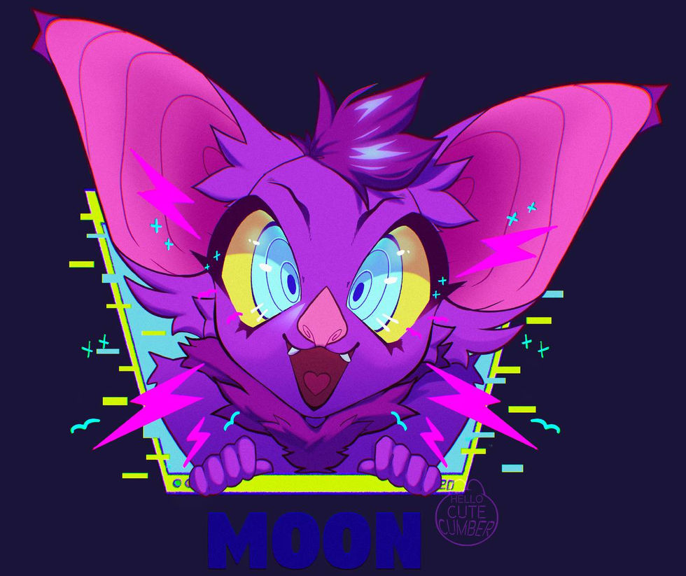 photo_2025-08-08_11-07-13