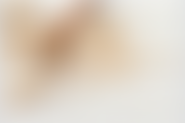 Starch is not just starch...