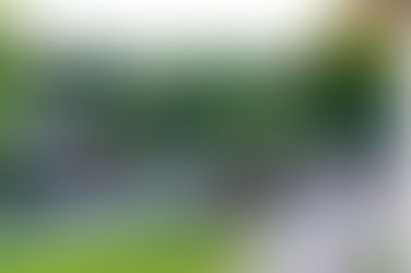 Camping the Grounds of Paris