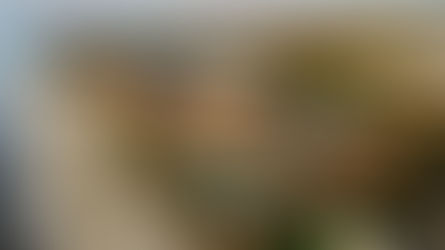 Cloister At Sea Island