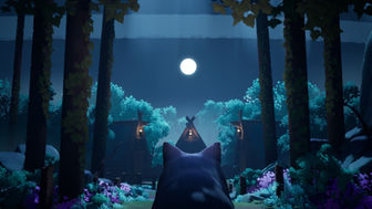 The First Environment - Village