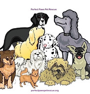 PerfectPaws2.jpg