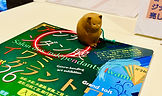 IMG_6397.jpeg