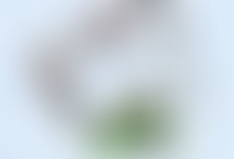 INGRESO A 1° CBC - COMPLETAMIENTO DOCUMENTACIÓN