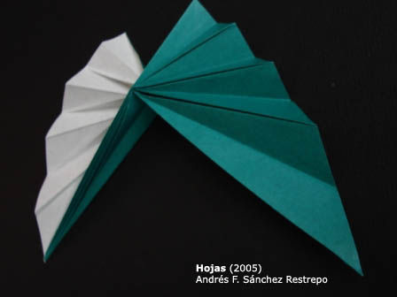 Hojas