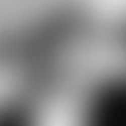 Vogel heißt Paki. tagebuchstaben spezial 6/26