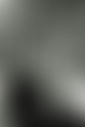 Fokusvogel taucht auf. Tagebuchstaben 78
