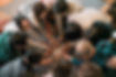 DSC01525.jpg