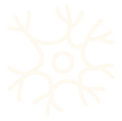 neuron(1).png
