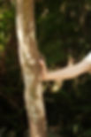 DSCF8053.jpg